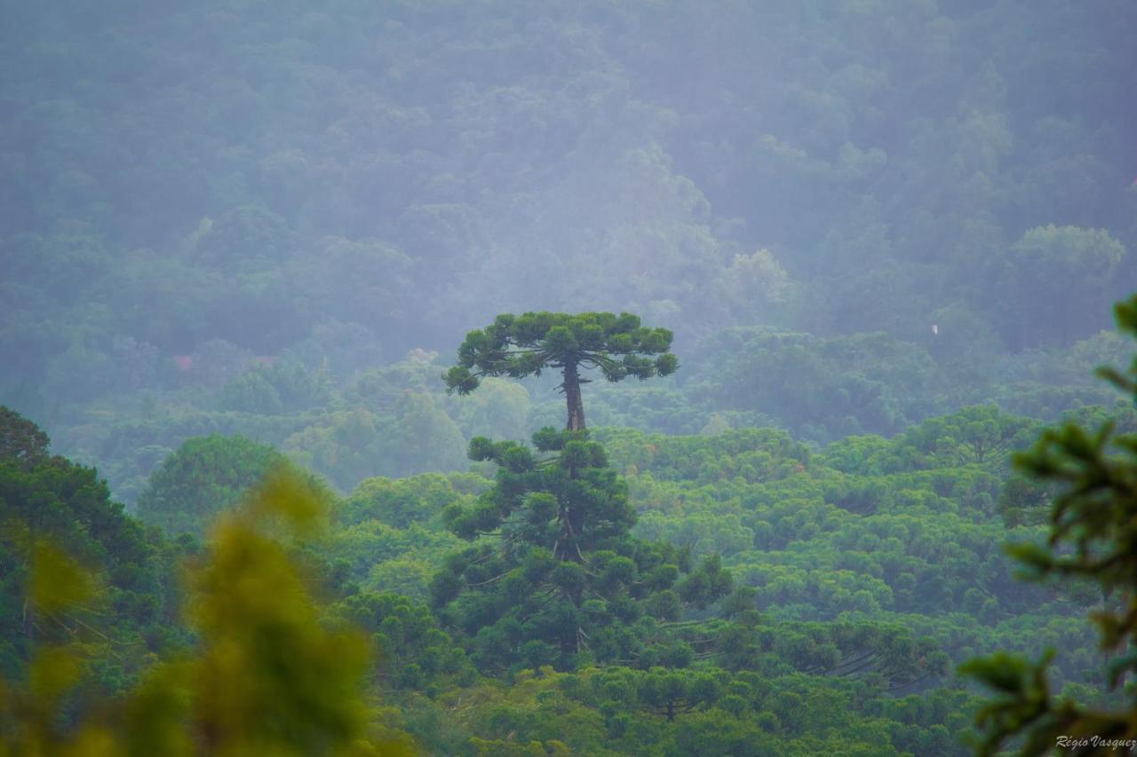 Pousada Ricanto Amore Mio Monte Verde  Exteriör bild