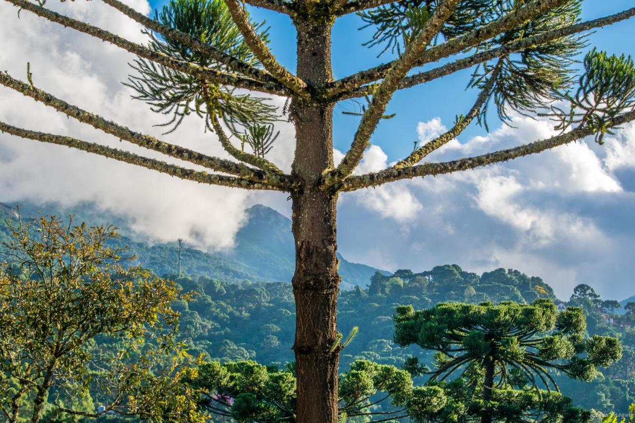 Pousada Ricanto Amore Mio Monte Verde  Exteriör bild