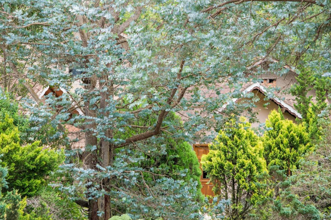 Pousada Ricanto Amore Mio Monte Verde  Exteriör bild