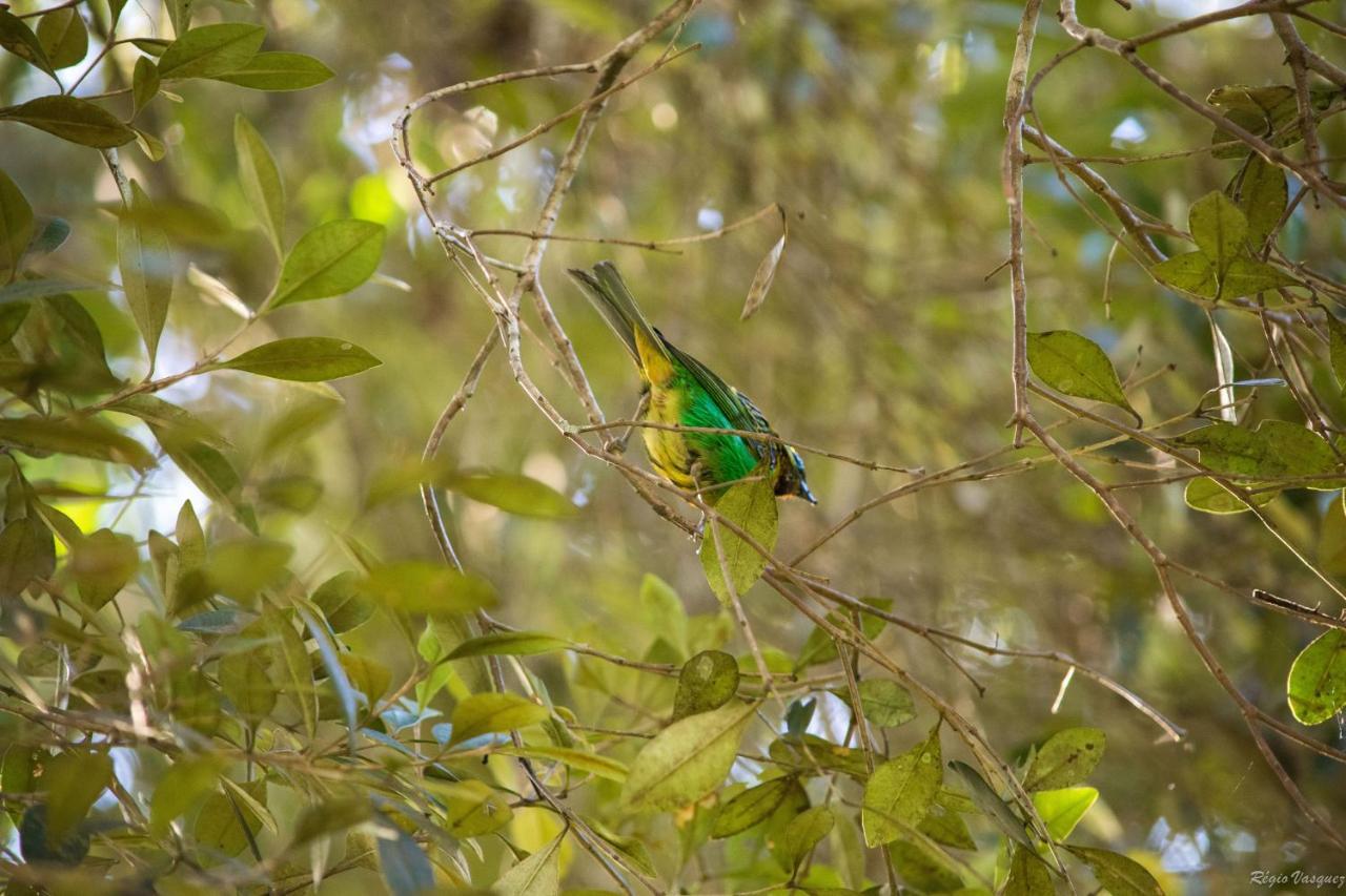 Pousada Ricanto Amore Mio Monte Verde  Exteriör bild